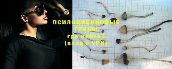 apvp Балахна