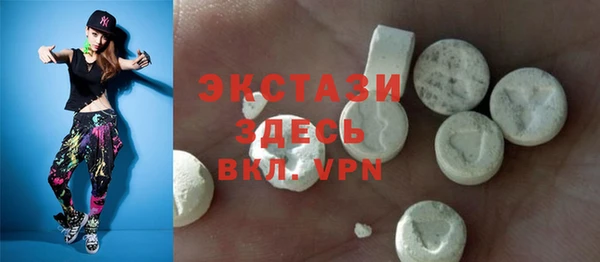 хмурый Анива